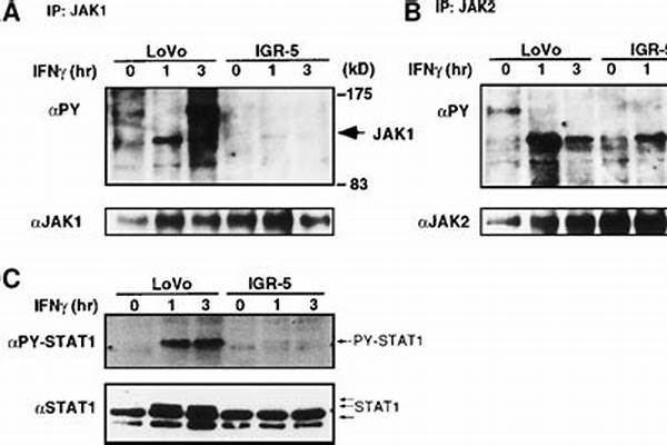 方管的計(jì)算公式/a_方管的計(jì)算公式怎么算