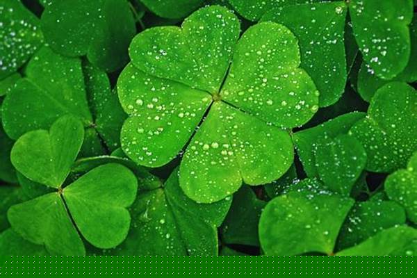 镀锌管制造厂/a_镀锌管制造厂