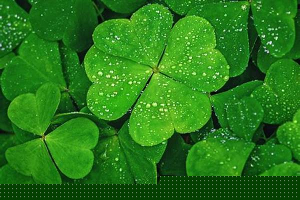 镀锌管型号及价格/a_镀锌管型号及价格